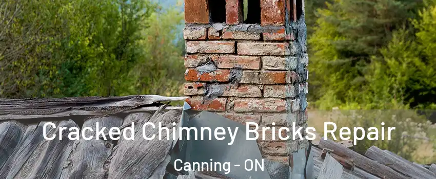 Cracked Chimney Bricks Repair Canning - ON
