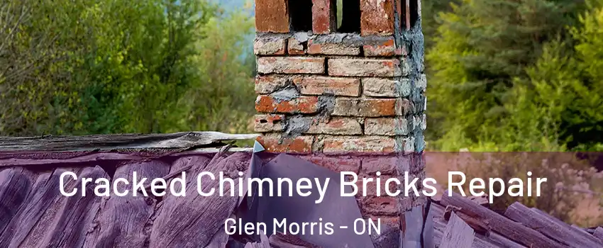  Cracked Chimney Bricks Repair Glen Morris - ON