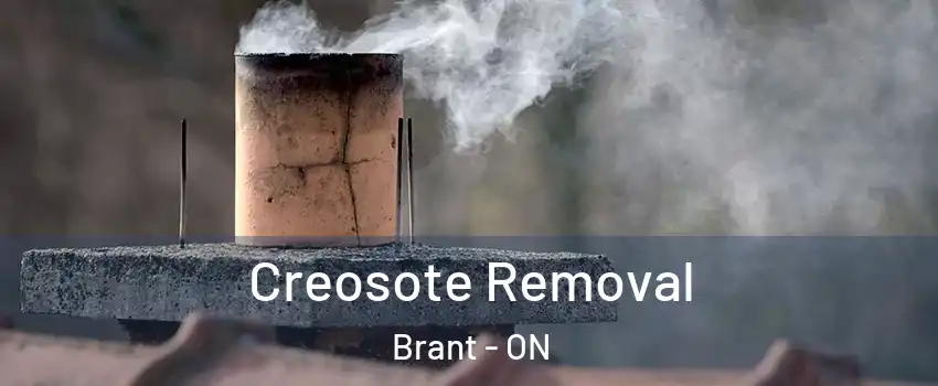  Creosote Removal Brant - ON