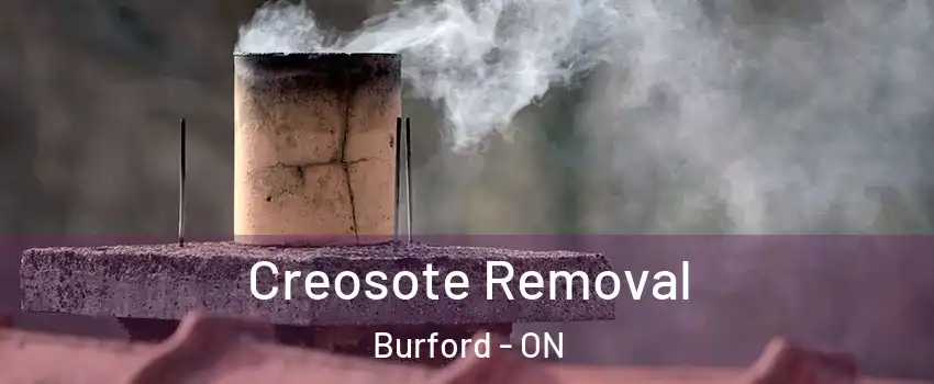  Creosote Removal Burford - ON