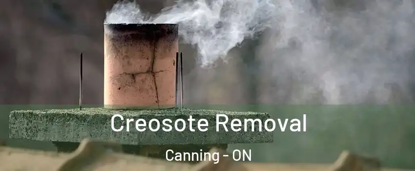 Creosote Removal Canning - ON