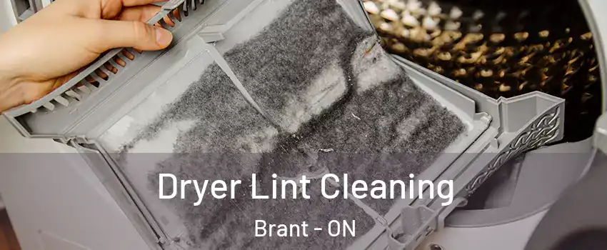 Dryer Lint Cleaning Brant - ON