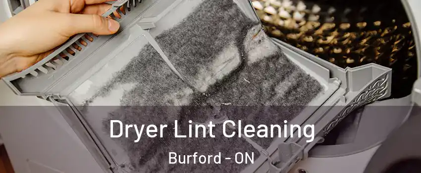  Dryer Lint Cleaning Burford - ON
