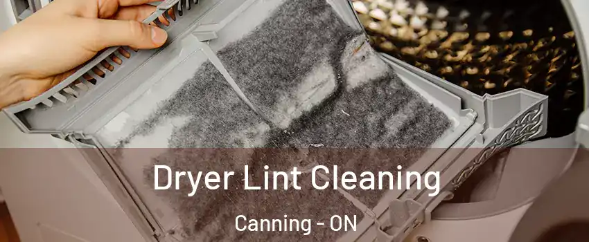  Dryer Lint Cleaning Canning - ON
