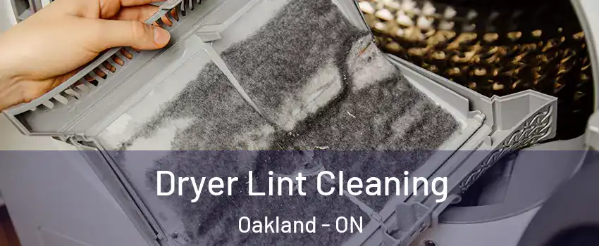  Dryer Lint Cleaning Oakland - ON