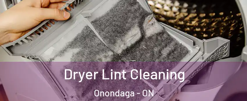  Dryer Lint Cleaning Onondaga - ON