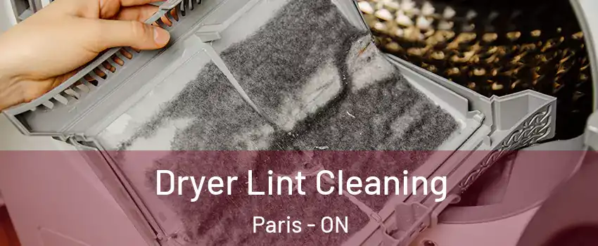  Dryer Lint Cleaning Paris - ON