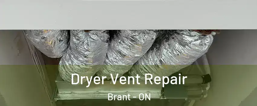  Dryer Vent Repair Brant - ON
