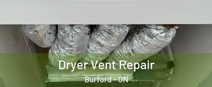 Dryer Vent Repair Burford - ON