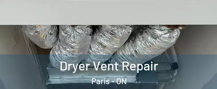  Dryer Vent Repair Paris - ON