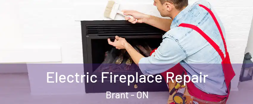  Electric Fireplace Repair Brant - ON