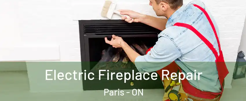  Electric Fireplace Repair Paris - ON