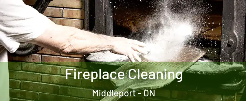  Fireplace Cleaning Middleport - ON
