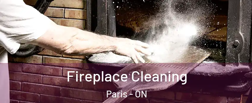  Fireplace Cleaning Paris - ON