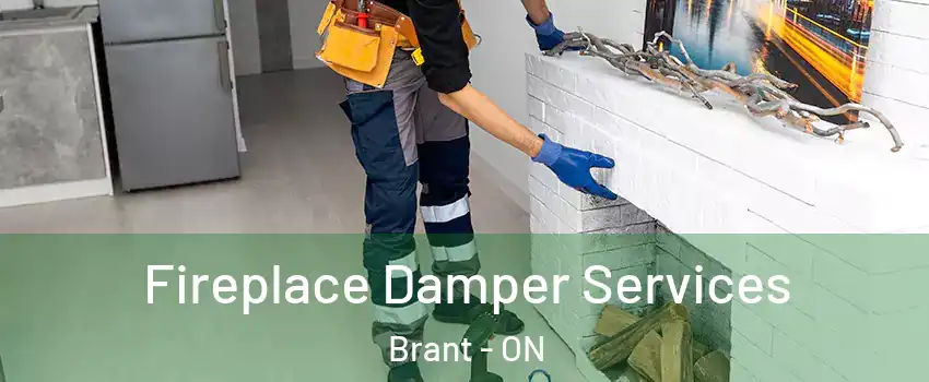  Fireplace Damper Services Brant - ON