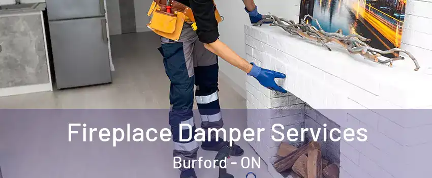  Fireplace Damper Services Burford - ON