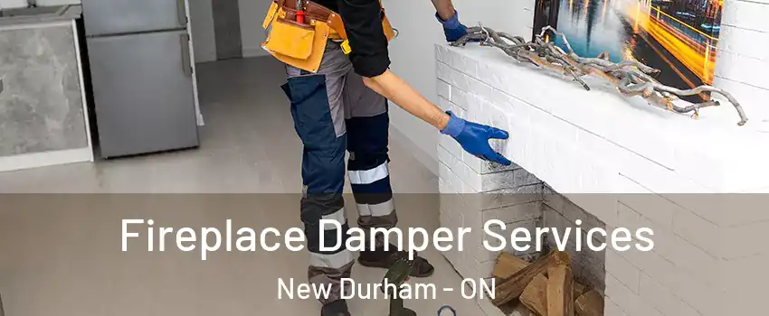  Fireplace Damper Services New Durham - ON