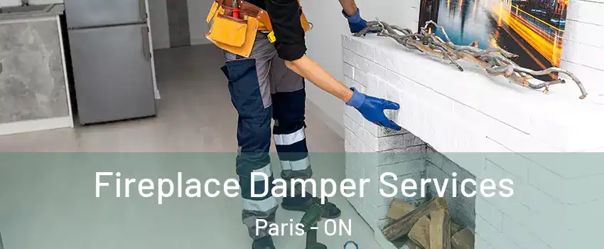  Fireplace Damper Services Paris - ON