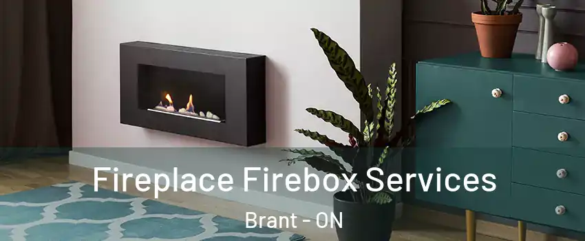  Fireplace Firebox Services Brant - ON