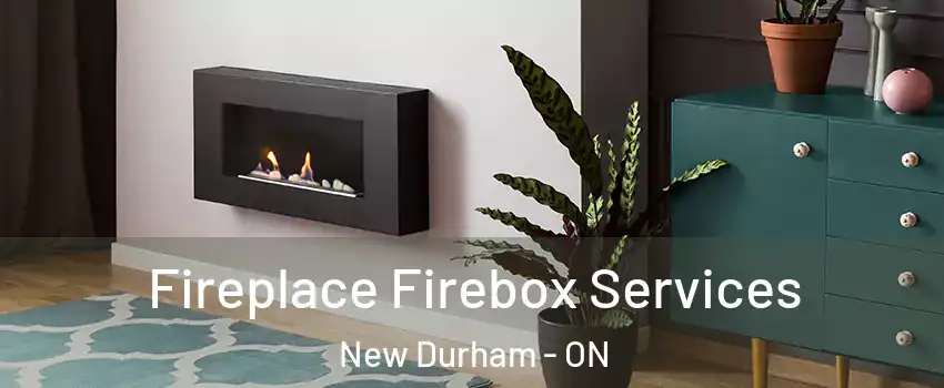  Fireplace Firebox Services New Durham - ON
