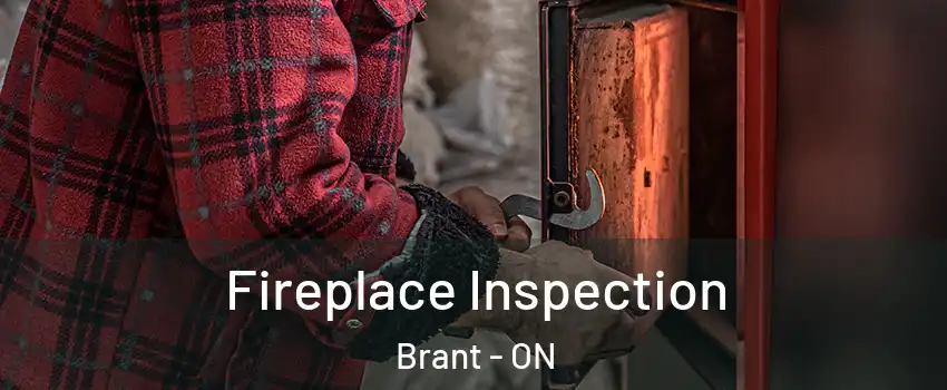  Fireplace Inspection Brant - ON
