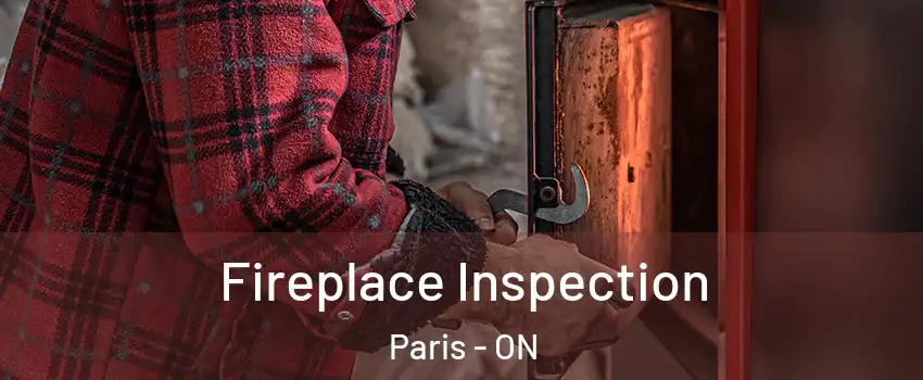  Fireplace Inspection Paris - ON