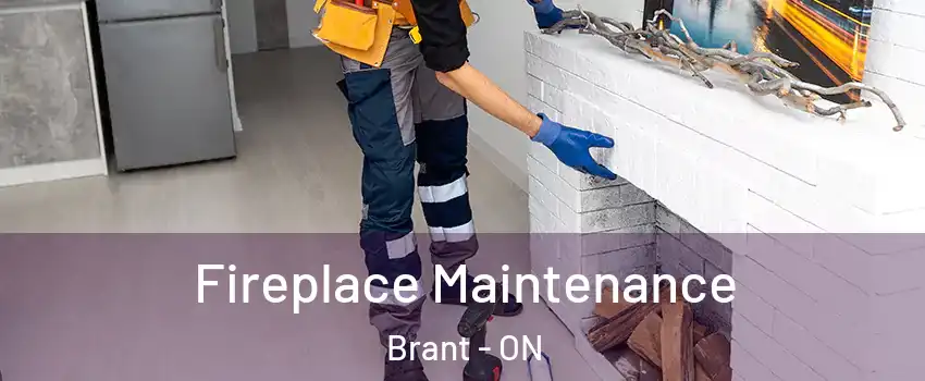  Fireplace Maintenance Brant - ON