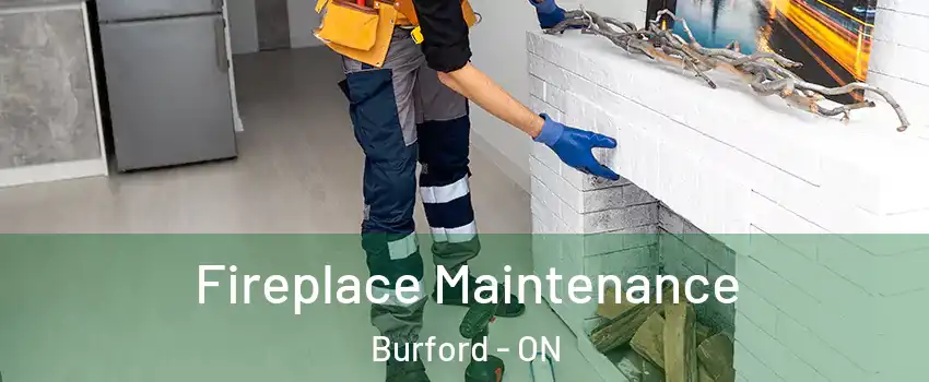  Fireplace Maintenance Burford - ON