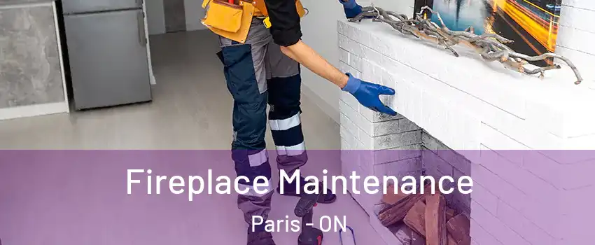 Fireplace Maintenance Paris - ON