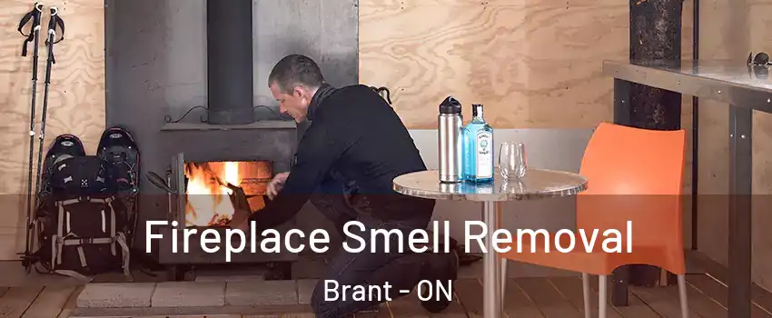  Fireplace Smell Removal Brant - ON