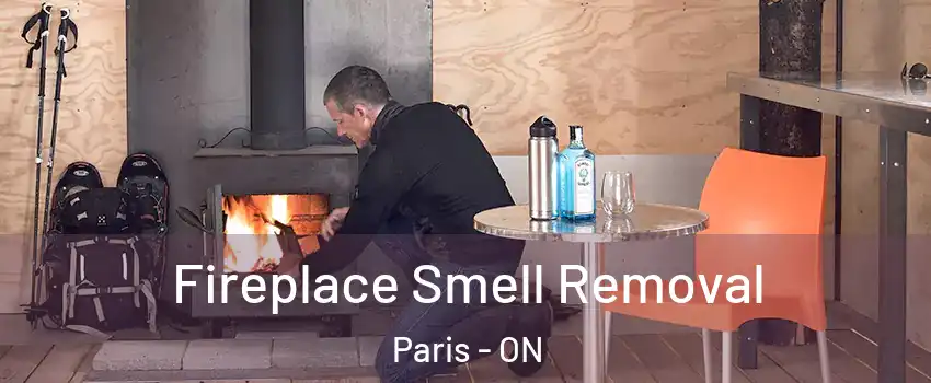  Fireplace Smell Removal Paris - ON