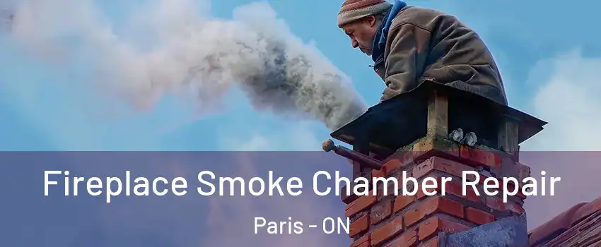  Fireplace Smoke Chamber Repair Paris - ON