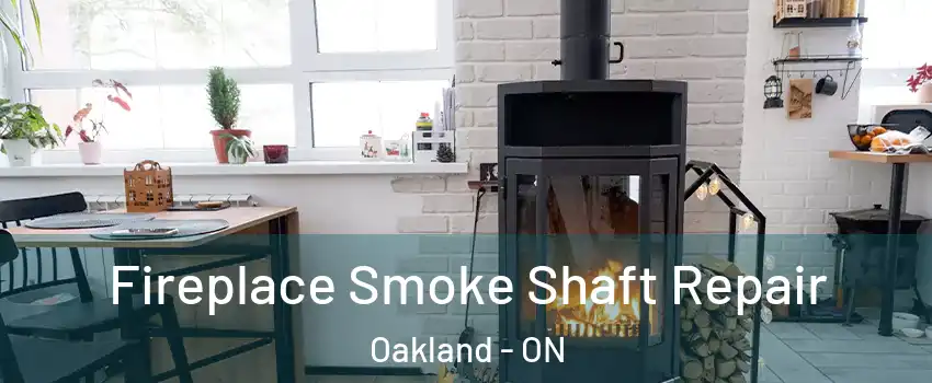  Fireplace Smoke Shaft Repair Oakland - ON