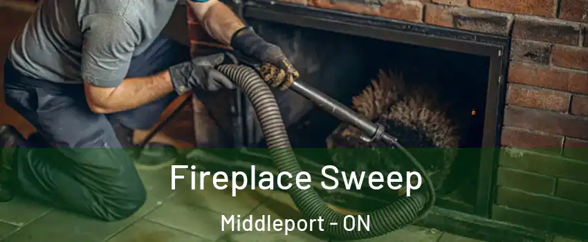  Fireplace Sweep Middleport - ON