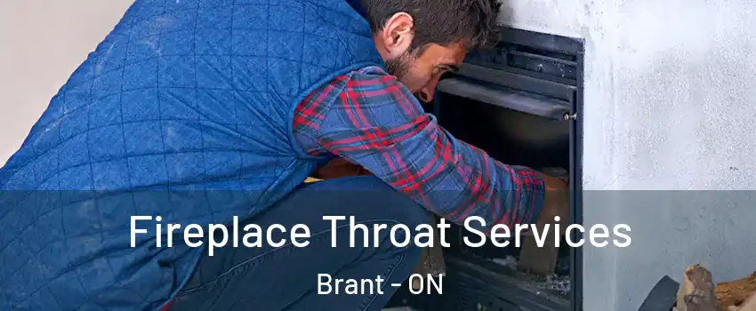 Fireplace Throat Services Brant - ON