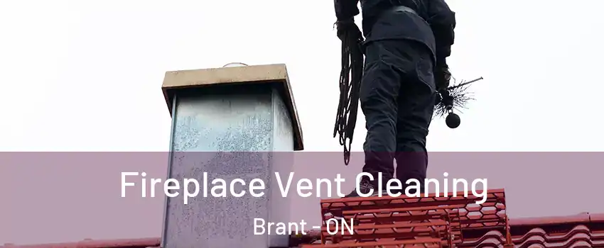  Fireplace Vent Cleaning Brant - ON
