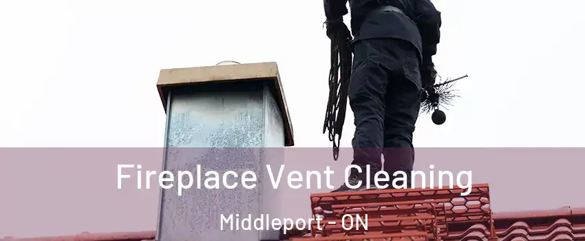 Fireplace Vent Cleaning Middleport - ON