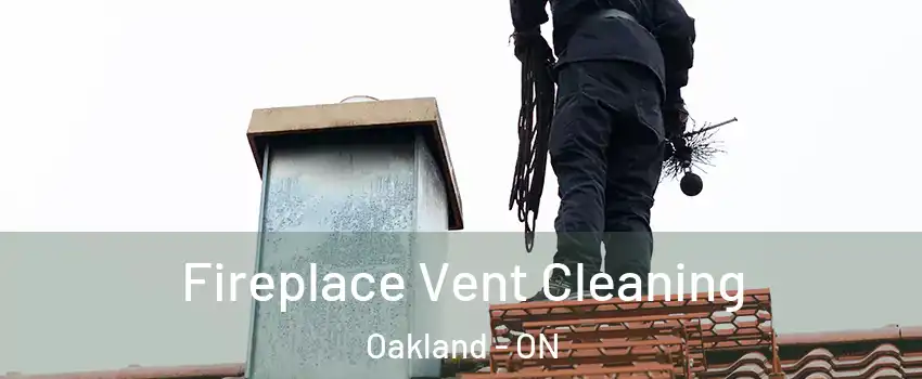 Fireplace Vent Cleaning Oakland - ON