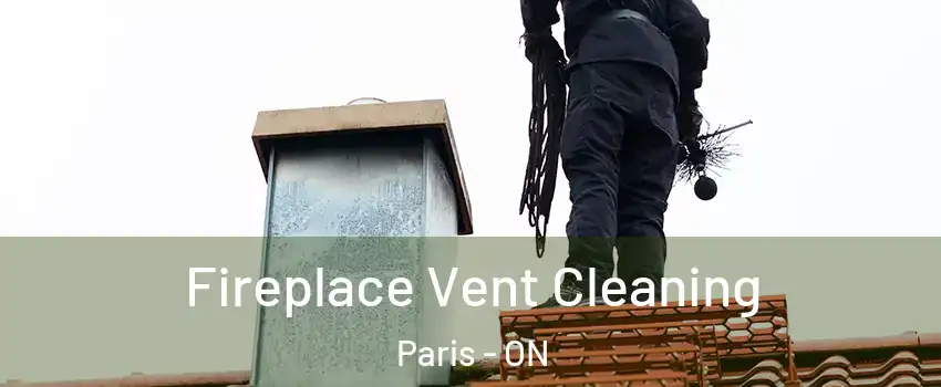  Fireplace Vent Cleaning Paris - ON