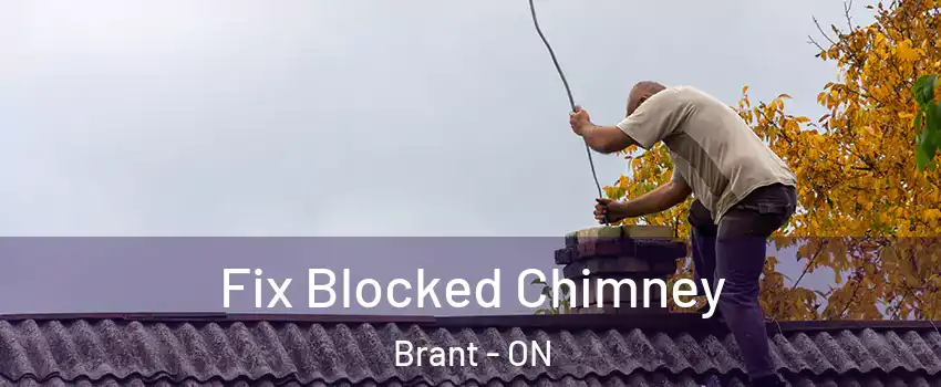  Fix Blocked Chimney Brant - ON