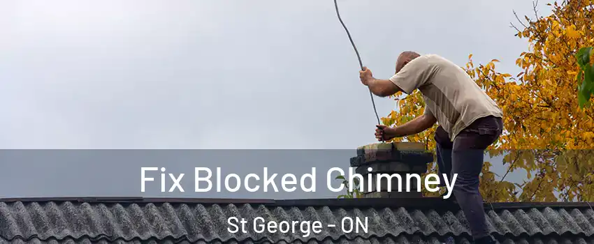 Fix Blocked Chimney St George - ON