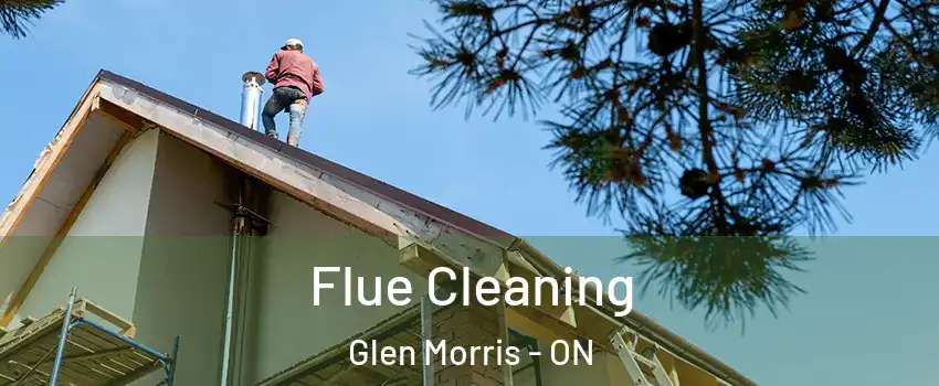  Flue Cleaning Glen Morris - ON