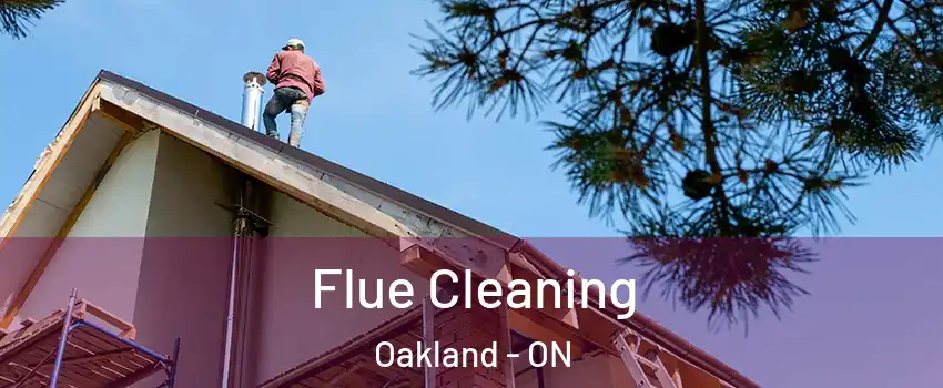  Flue Cleaning Oakland - ON