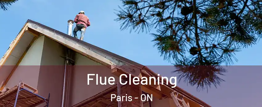 Flue Cleaning Paris - ON