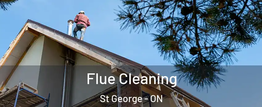  Flue Cleaning St George - ON