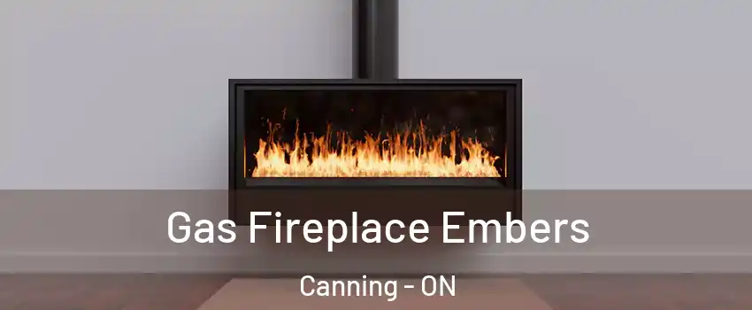  Gas Fireplace Embers Canning - ON