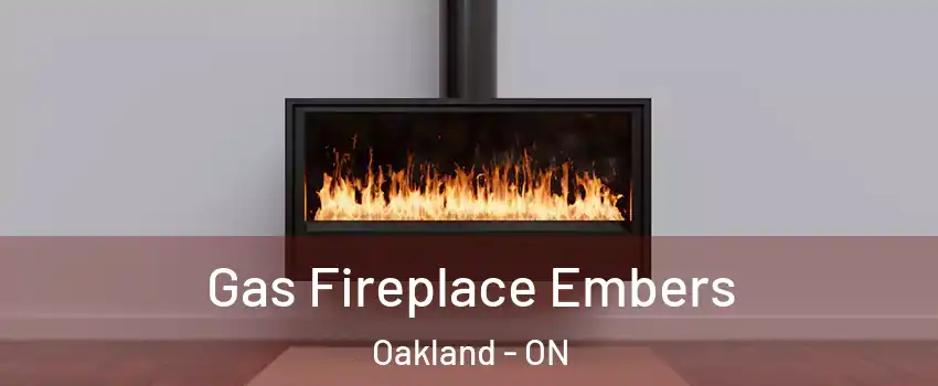  Gas Fireplace Embers Oakland - ON