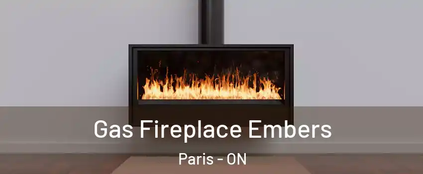  Gas Fireplace Embers Paris - ON