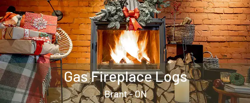  Gas Fireplace Logs Brant - ON