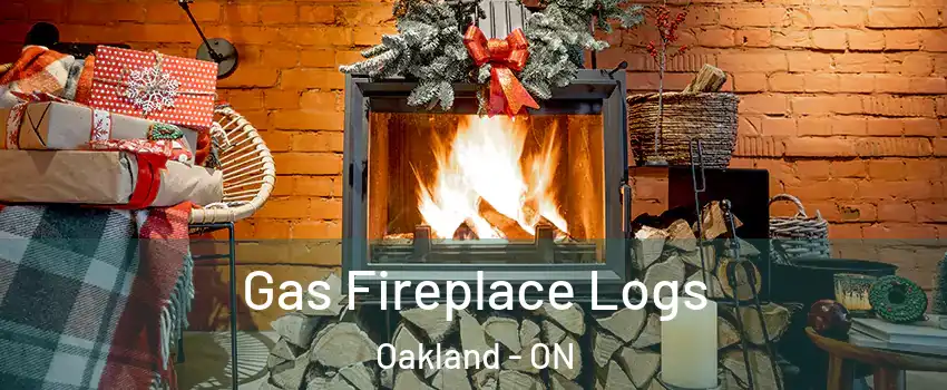  Gas Fireplace Logs Oakland - ON